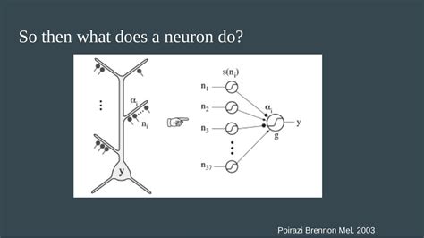 Introduction to Neural Networks 的图像结果