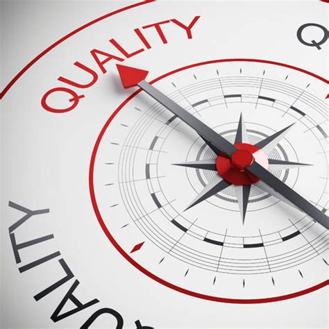 Exploring the Varieties of Cardamom: A Guide to Black and Green Cardam ...