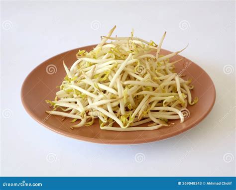 Fresh Bean Sprouts on a Pink Plate Stock Image - Image of pasta, bean ...