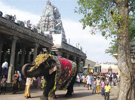 Saravana Poigai, palani, India - Top Attractions, Things to Do ...
