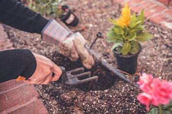 Preventing Injury in the Garden, USU Extension - Utah County Office ...