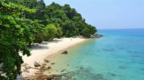 RAINFOREST CAMPING PERHENTIAN ISLAND (Pulau Perhentian Kecil ...
