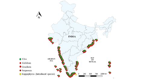 Third-generation bioethanol: status, scope, and challenges