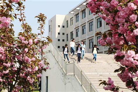 我院举办2021届毕业生春季供需见面会-淄博职业学院