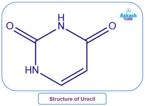 Heterocyclic Aromatic Compounds - Introduction, Important structures ...