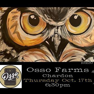 Paint "Owl Eyes" in Chardon - Osso Farms, Osso Farms Wedding & Event ...