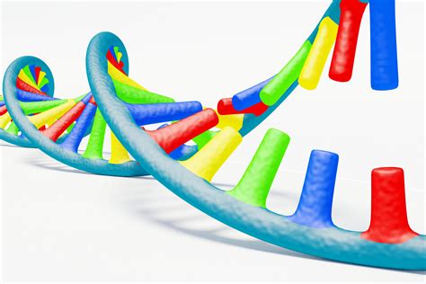 Image result for Advanced DNA Replication Animation