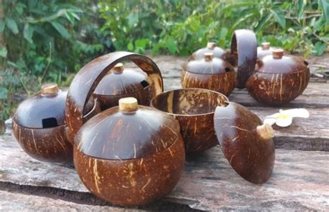 Decorative Items Using Coconut Shell 的图像结果