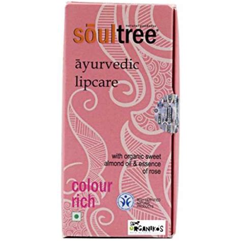 Soul Tree Lipstick (Nude Pink 500) Price in India, Specs, Reviews ...