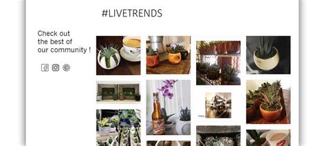 Image result for Hashtag Examples