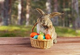 Image result for Pic of Easter Bunny