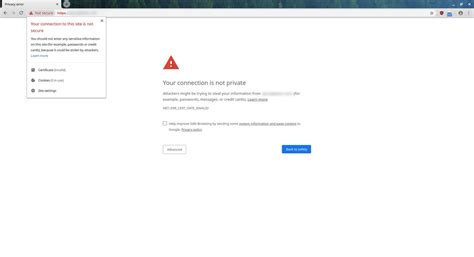 Google Website Privacy Error 的图像结果