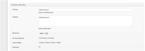 Wordpress Yazı Alanına Metabox Nasıl Eklerim?