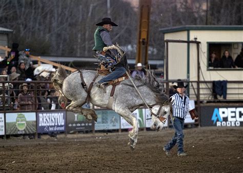 Cal Poly SLO to launch ticket sales for Poly Royal Rodeo | San Luis ...