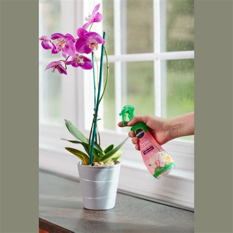 Orchid Plant Food