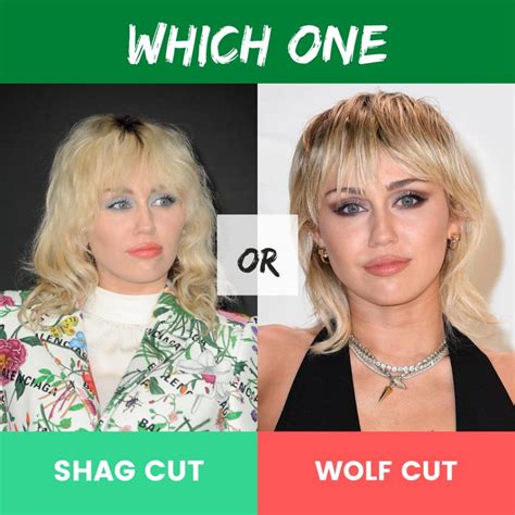 Wolf Cut Vs. Shag Cut Debate | Which One Is Better?