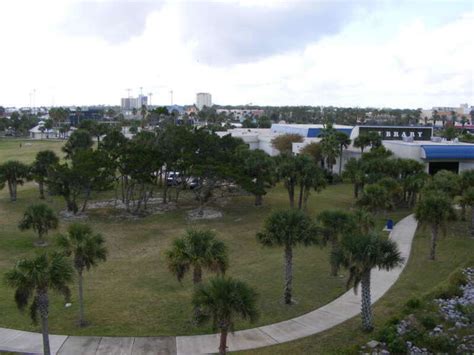 Catch a Wave and a Game: Exploring Port Oranges Major League Sports ...