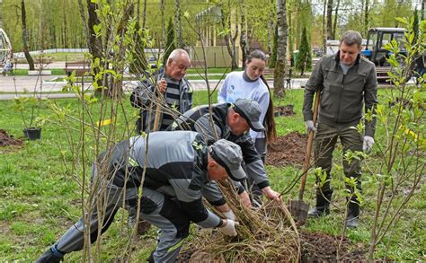 В Туле прошла экологическая акция «Сирень Победы» - Новости Тулы и ...