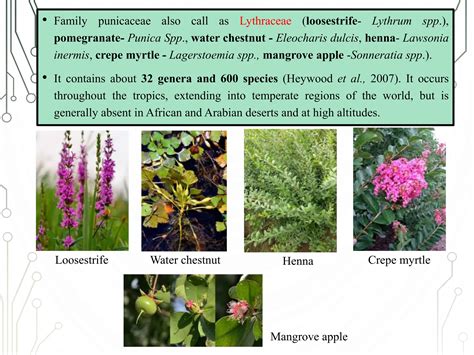 Image result for JavaScript Class Syntax