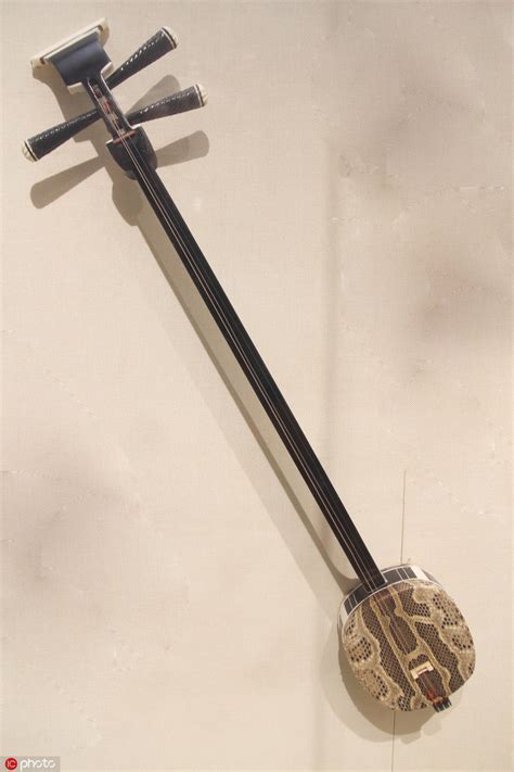 Image result for Basic Peking Opera