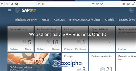 Image result for SAP B1 Web Client