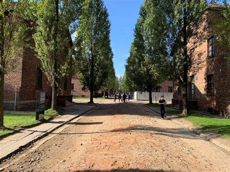 Auschwitz-Birkenau Memorial and Museum Trip from Krakow 2022 - Viator