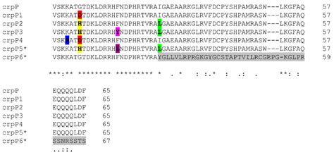 Presence of Chromosomal crpP-like Genes Is Not Always Associated with ...