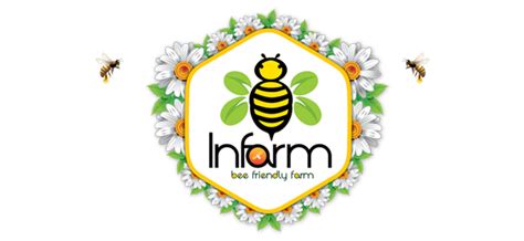 Tiid Invention Global: budget branding & web development company in ...