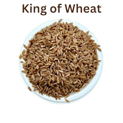 Khapli Wheat Grains (Emmer Wheat Grain) | खपली गहु – PIP AGRO