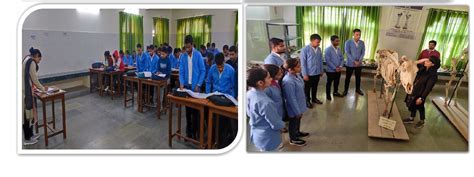 Institute Of Para Veterinary Science – duvasu mathura
