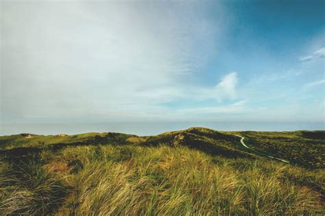 Portal Home - Hostsavvy