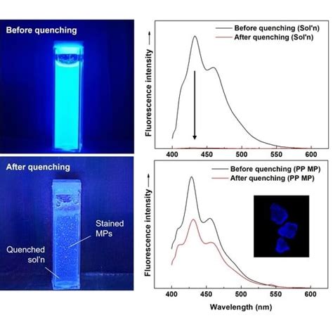 In Situ Fluorescent Illumination of Microplastics in Water Utilizing a ...
