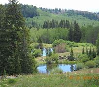 Image result for Grand Mesa Campground Recon