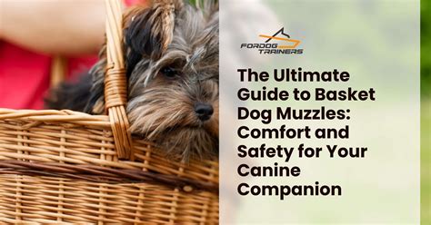 The Ultimate Guide to Basket Dog Muzzles: Comfort and Safety for Your ...