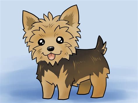 How To Draw Yorkshire Terrier