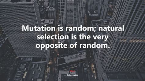 Mutation is random; natural selection is the very opposite of random ...