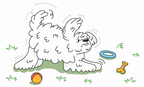 Why Is My Dog Trembling And Panting