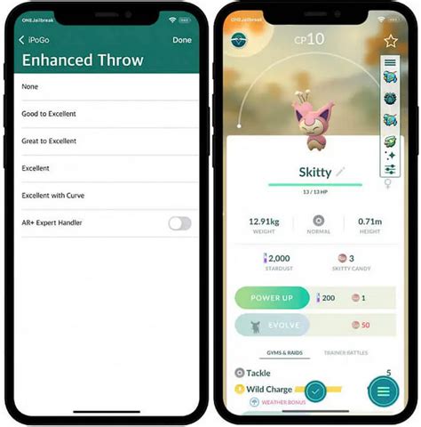 How Do You Install Ipogo iOS 的图像结果