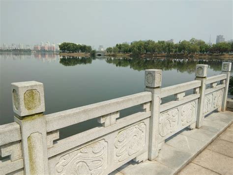 南昌象湖湿地-中关村在线摄影论坛