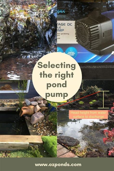 Using Pool Pump for Pond Pump 的图像结果