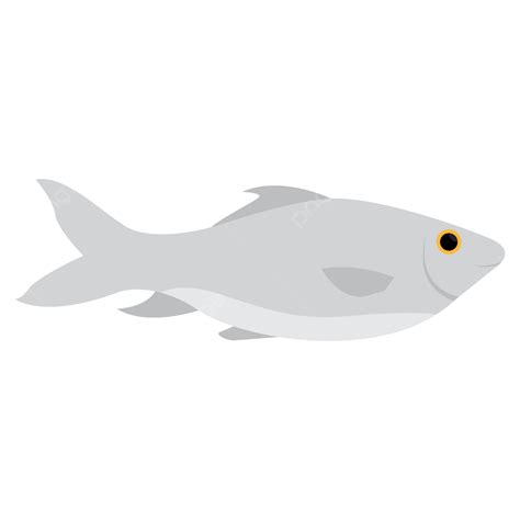 Rohu Fish