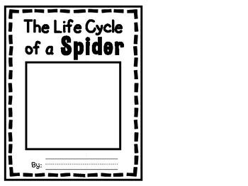 Image result for Science Lab Report On Spider