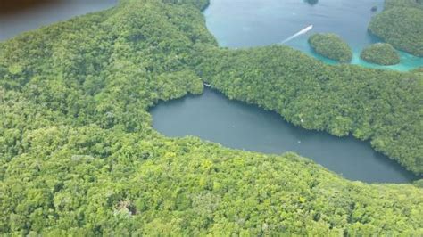 Rock Islands Southern Lagoon (Koror) - 2021 What to Know Before You Go ...