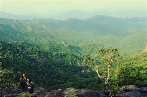 Odisha Hidden Places: ओडिशा की खूबसूरती का दीदार हो जाएगा, घूम आए आप भी ...