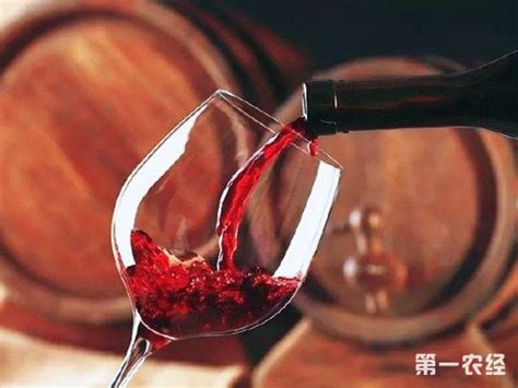 喝葡萄酒的一些小技巧：如何提高品酒体验？ - 糖酒快讯 - 第一农经网