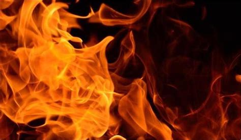 शार्ट सर्किट से थर्मोकोल फैक्ट्री में आग