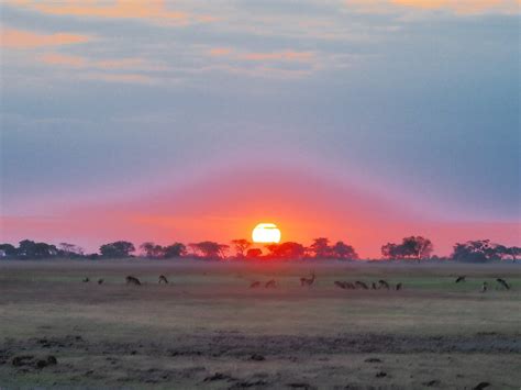 Lower Zambezi Canoe Safari