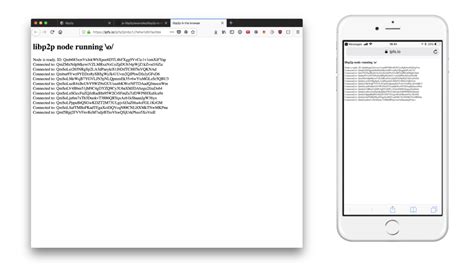 Libp2p Java Tutorial 的图像结果