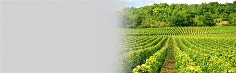 Masters of Science in Agronomy Education