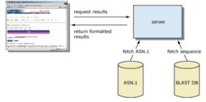 Blast Biotechnology Example 的图像结果